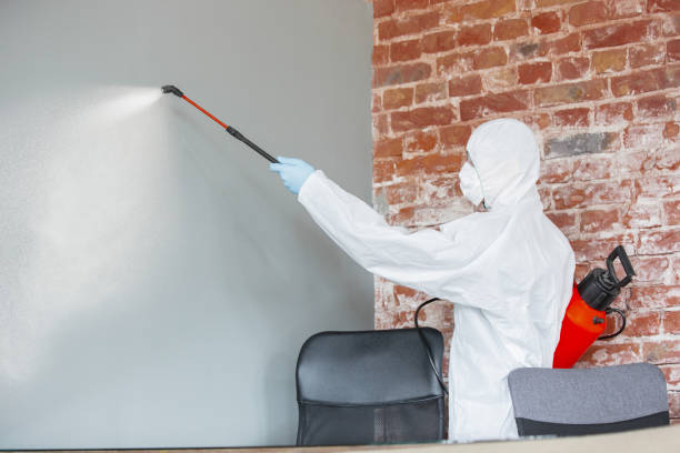 Best Mold Odor Removal Services  in Marvin, NC